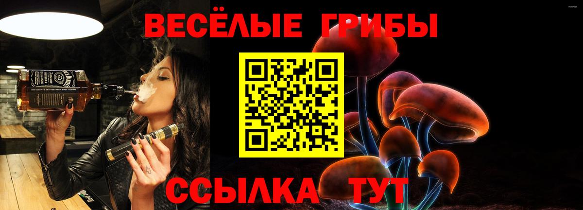 Галлюциногенные грибы Magic Shrooms  Вход с VPN  Псилоцибиновые грибы GOLDEN TEACHER  Конаково 
